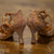 Abelia Dance Shoes - zijistyle
