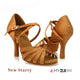 Starry Brown Premier Flexible Sole Salsa Ballroom Latin Dance Shoes